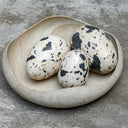 Nest Trio