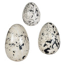 Nest Trio
