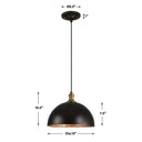 Placuna 1 Light Pendant