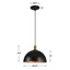 Placuna 1 Light Pendant