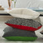 Elliottdale Charcoal & Scarlet Decorative Pillow