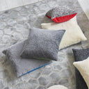 Elliottdale Charcoal & Scarlet Decorative Pillow