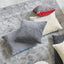 Elliottdale Charcoal & Scarlet Decorative Pillow