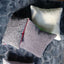 Elliottdale Charcoal & Scarlet Decorative Pillow