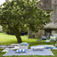 Muara Cobalt Outdoor Rug