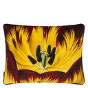 Eclosion Agate Decorative Pillow