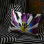 Eclosion Agate Decorative Pillow