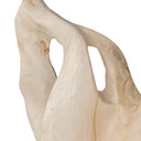 Hollow Form Sculpture