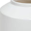 Illumina Vases