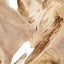 Terrains Wood Wall Decor