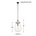 Dewdrop 1 Light Pendant