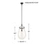 Dewdrop 1 Light Pendant