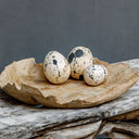 Nest Trio