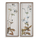Garden Study Framed Prints(2)