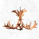 6 Light Fallow Antler Chandelier