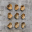 Tamarine Wood Wall Decor (3)