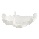 Coral Mirage Outdoor Bowl