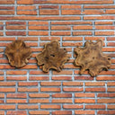 Kalani Wood Wall Decor(3)