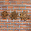 Kalani Wood Wall Decor(3)