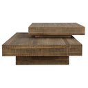 Rustic Planes Cocktail Table