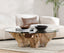 Willow Teak Root/ Glass Round Cocktail Table