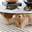 Willow Teak Root/ Glass Round Cocktail Table