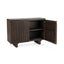 Roya Solid Wood 2-Dr Cabinet