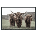 Highland Photography
