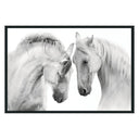 White Horses