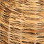 Rotorua 1 Light Pendant