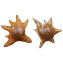 Starpetal Bowls
