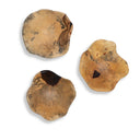 Tamarine Wood Wall Decor (3)