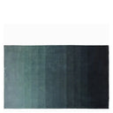 Capisoli Teal Ombre Rug