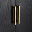 Front Range 2 Door Cabinet in Black