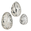 Nest Trio