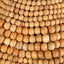 Kauri 1 Light Pendant