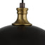 Placuna 1 Light Pendant