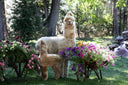 Alpaca Sculpture