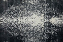 Coda Lifestyle Rug- Black/White