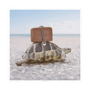 Out of Office
