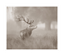 Stag Profile