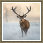 Winter Watcher