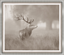 Stag Profile