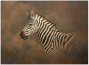 Marbled Zebra