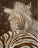 Copper Zebra Print