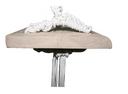 Allegra Outdoor Swing