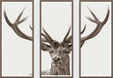 The Stag Triptych