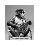 Monkeying Around