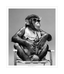 Monkeying Around