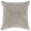 SLD Heirloom Velvet